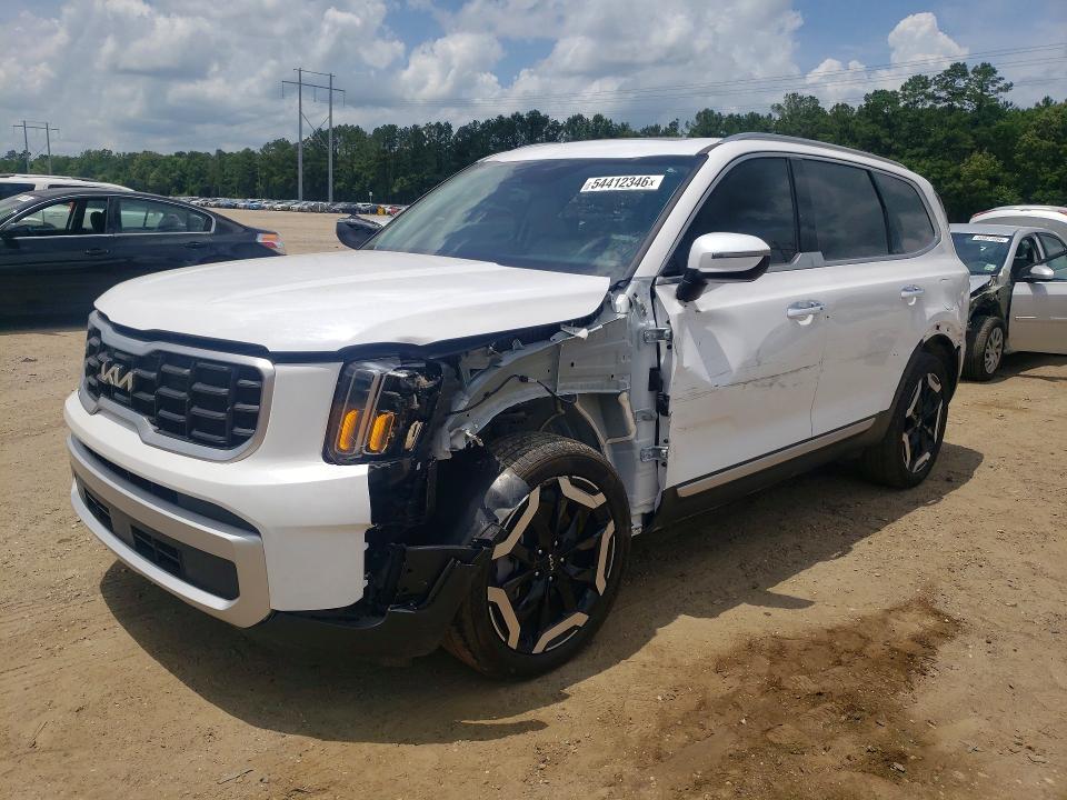 Продаж на аукціоні авто 2024 Kia Telluride, vin: 5XYP64GC6RG512499, номер лоту: 54412346