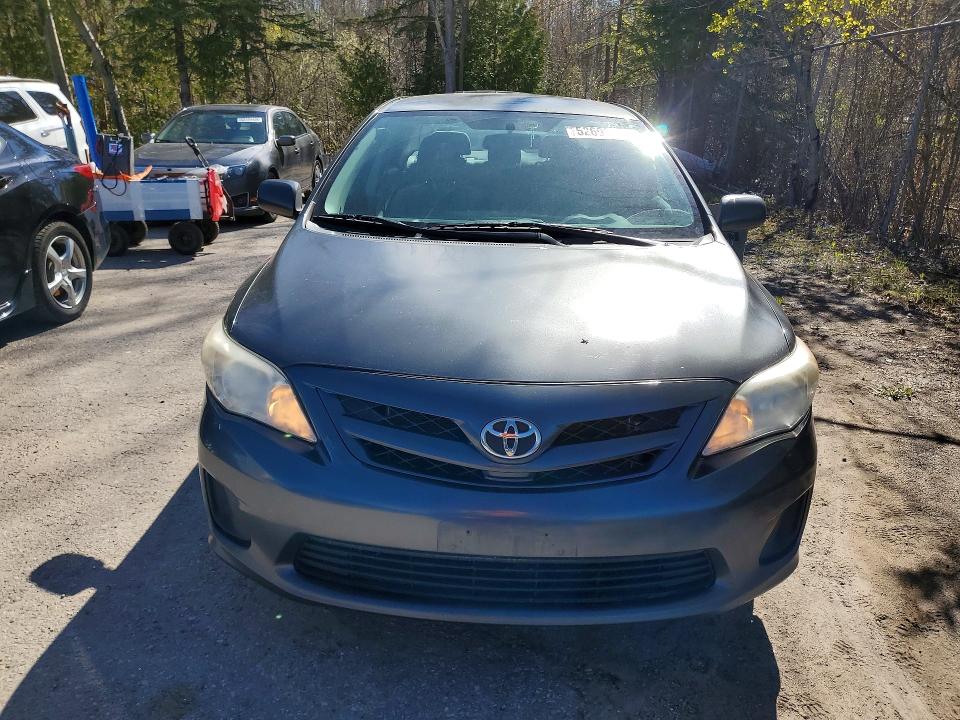 52693406 :رقم المزاد ، 2T1BU4EE3BC749165 vin ، 2011 Toyota Corolla مزاد بيع