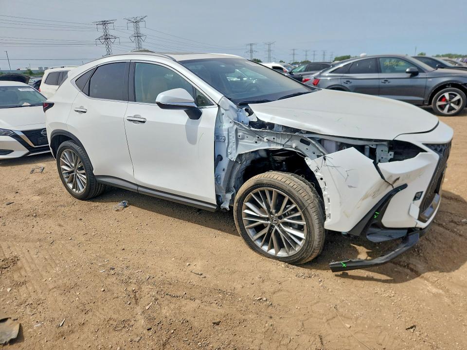 54486216 :رقم المزاد ، JTJGGCEZ8S2019175 vin ، 2025 Lexus Nx مزاد بيع