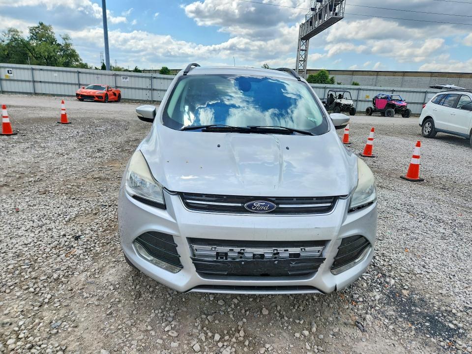 Продаж на аукціоні авто 2014 Ford Escape, vin: 1FMCU0JX4EUE38061, номер лоту: 53697366