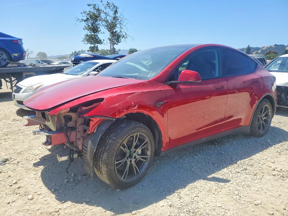 Продажа на аукционе авто 2025 Tesla Model Y, vin: 7SAYGDED8SF313354, номер лота: 53922166