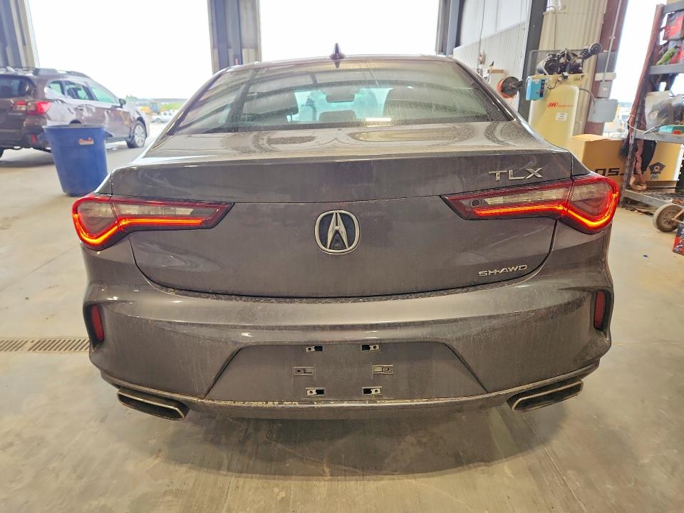 Продаж на аукціоні авто 2021 Acura Tlx, vin: 19UUB6F30MA007595, номер лоту: 53735866