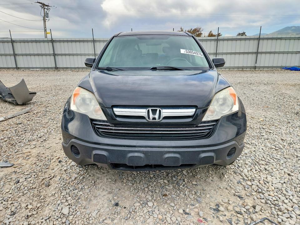 53054976 :رقم المزاد ، JHLRE48789C012445 vin ، 2009 Honda Cr-v مزاد بيع