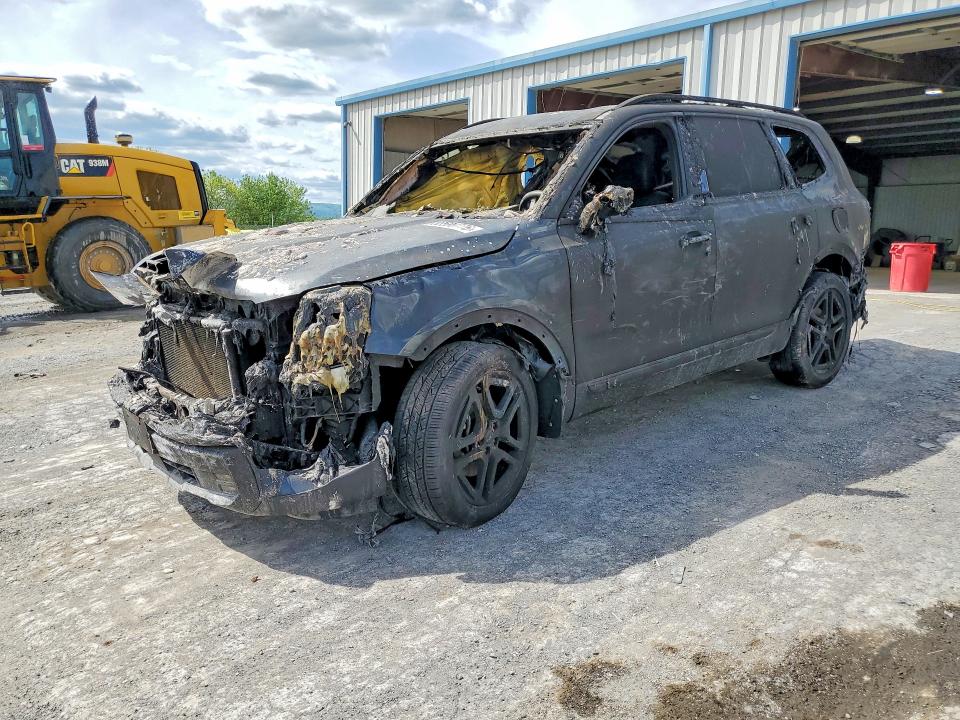 Продажа на аукционе авто 2024 Kia Telluride, vin: 5XYP5DGC4RG445971, номер лота: 53590776