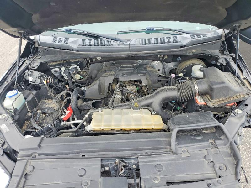 Продаж на аукціоні авто 2018 Ford F150, vin: 1FTEW1CP2JFA41005, номер лоту: 55222556
