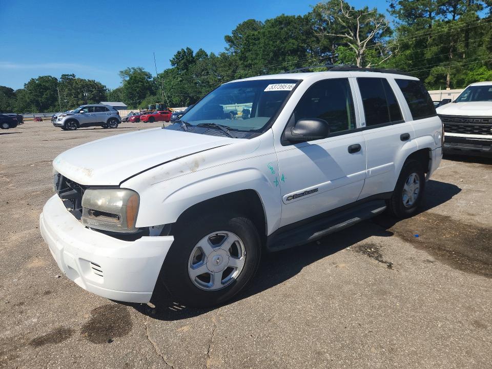 Auction sale of the 2002 Chevrolet Trailblazer, vin: 1GNDS13S422516343, lot number: 53739516