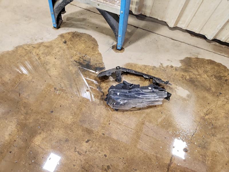 2021 Tesla Model 3 მანქანა იყიდება აუქციონზე, vin: 5YJ3E1EB8MF056371, აუქციონის ნომერი: 53027666