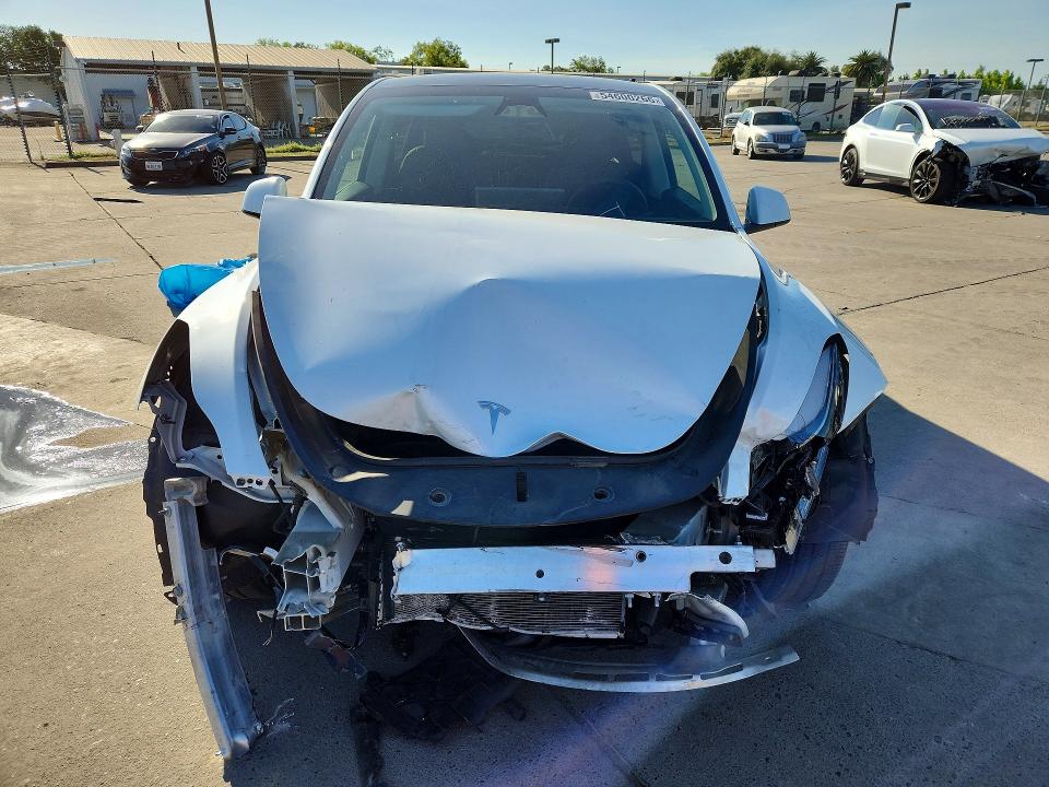 Продаж на аукціоні авто 2024 Tesla Model Y, vin: 7SAYGDEF1RF181551, номер лоту: 54600266