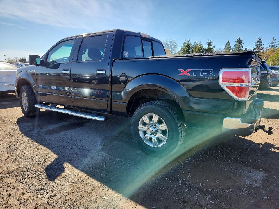 Продаж на аукціоні авто 2010 Ford F150, vin: 1FTEW1E87AFC31792, номер лоту: 53192656
