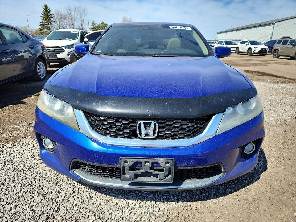 53216166 :رقم المزاد ، 1HGCT1B87DA800924 vin ، 2013 Honda Accord مزاد بيع