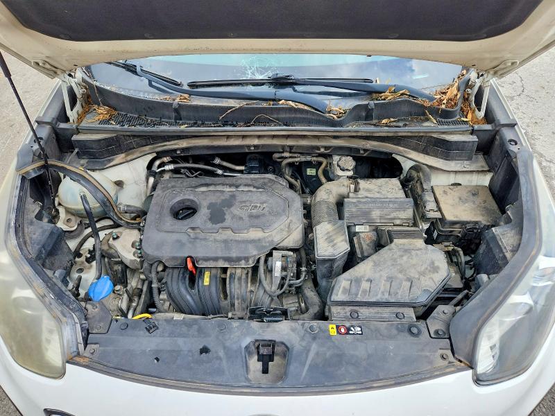 Продаж на аукціоні авто 2018 Kia Sportage, vin: KNDPMCAC5J7448580, номер лоту: 54895786