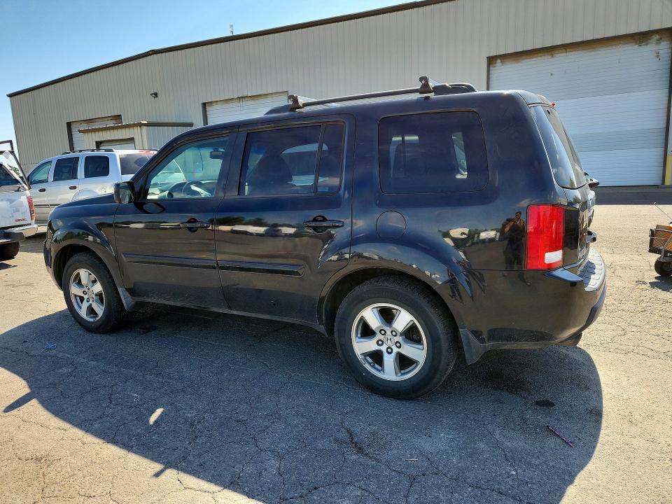Продаж на аукціоні авто 2009 Honda Pilot, vin: 5FNYF38519B020906, номер лоту: 55116696