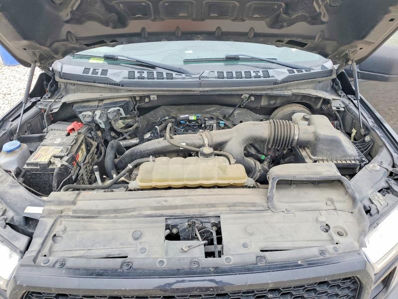 Продаж на аукціоні авто 2019 Ford F150, vin: 1FTEW1CP0KKE35109, номер лоту: 52486696