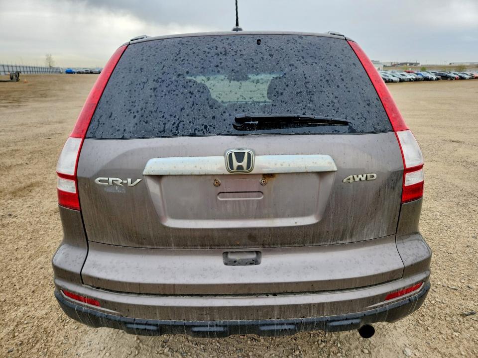 Продаж на аукціоні авто 2010 Honda Cr-v, vin: 5J6RE4H73AL800657, номер лоту: 52917746