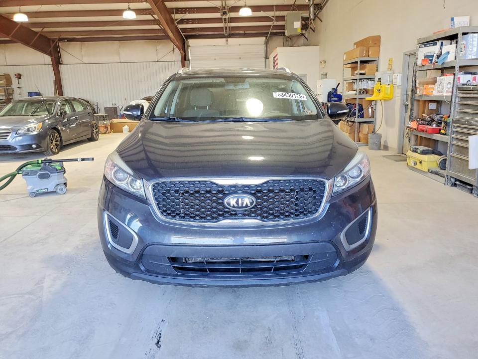 53430176 :رقم المزاد ، 5XYPGDA53HG307468 vin ، 2017 Kia Sorento مزاد بيع
