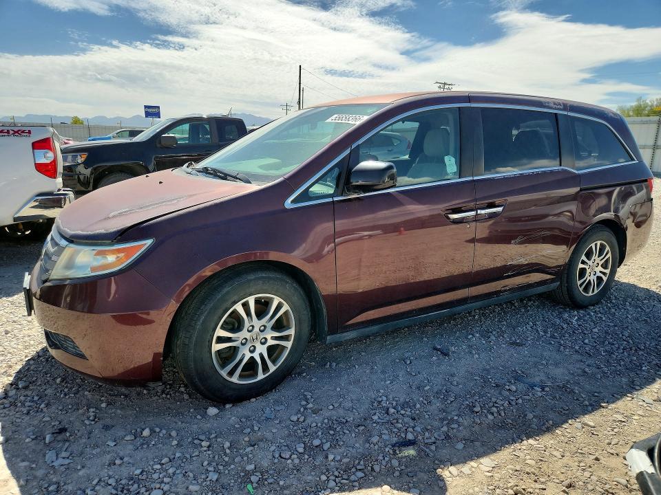 55658366 :رقم المزاد ، 5FNRL5H44BB033106 vin ، 2011 Honda Odyssey مزاد بيع