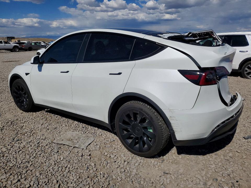 Продаж на аукціоні авто 2023 Tesla Model Y, vin: 7SAYGDEE8PF692517, номер лоту: 53980366