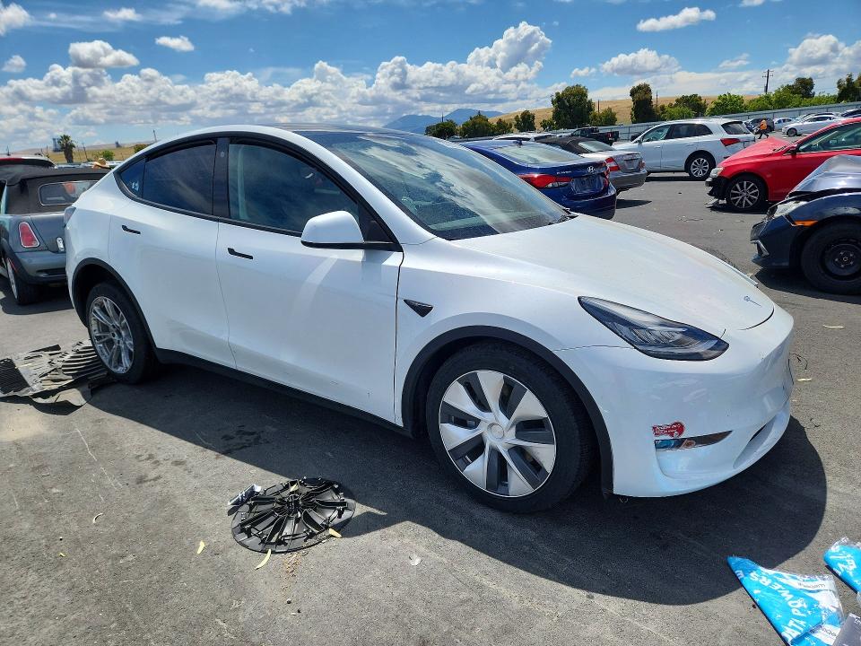 Продаж на аукціоні авто 2023 Tesla Model Y, vin: 7SAYGDEE0PA083337, номер лоту: 54985296