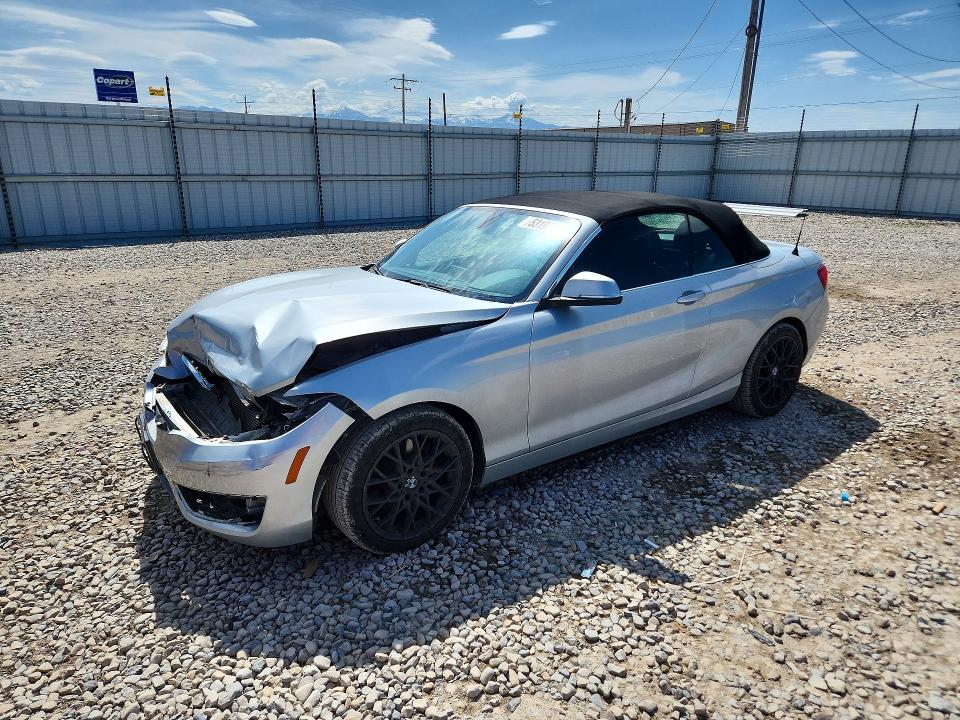 Продажа на аукционе авто 2016 Bmw 228, vin: WBA1L9C58GV324461, номер лота: 53197246