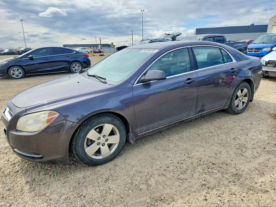 54205946 :رقم المزاد ، 1G1ZD5E03A4161091 vin ، 2010 Chevrolet Malibu مزاد بيع
