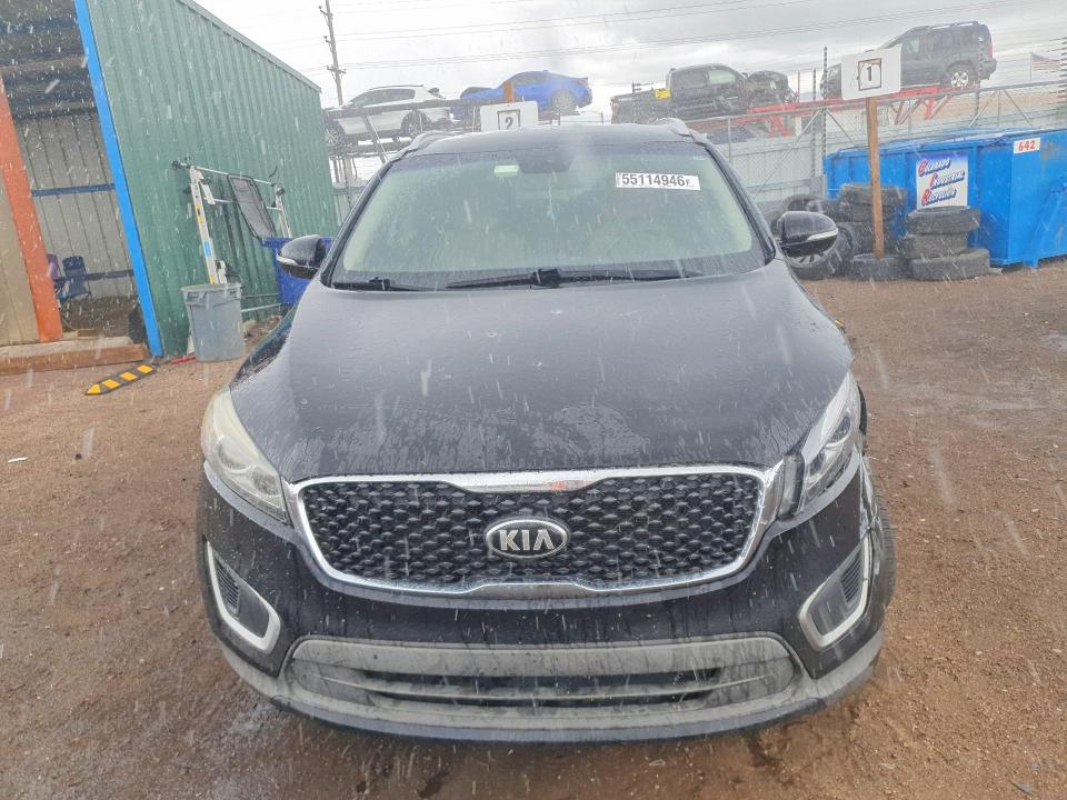 55114946 :رقم المزاد ، 5XYPG4A39GG181582 vin ، 2016 Kia Sorento مزاد بيع