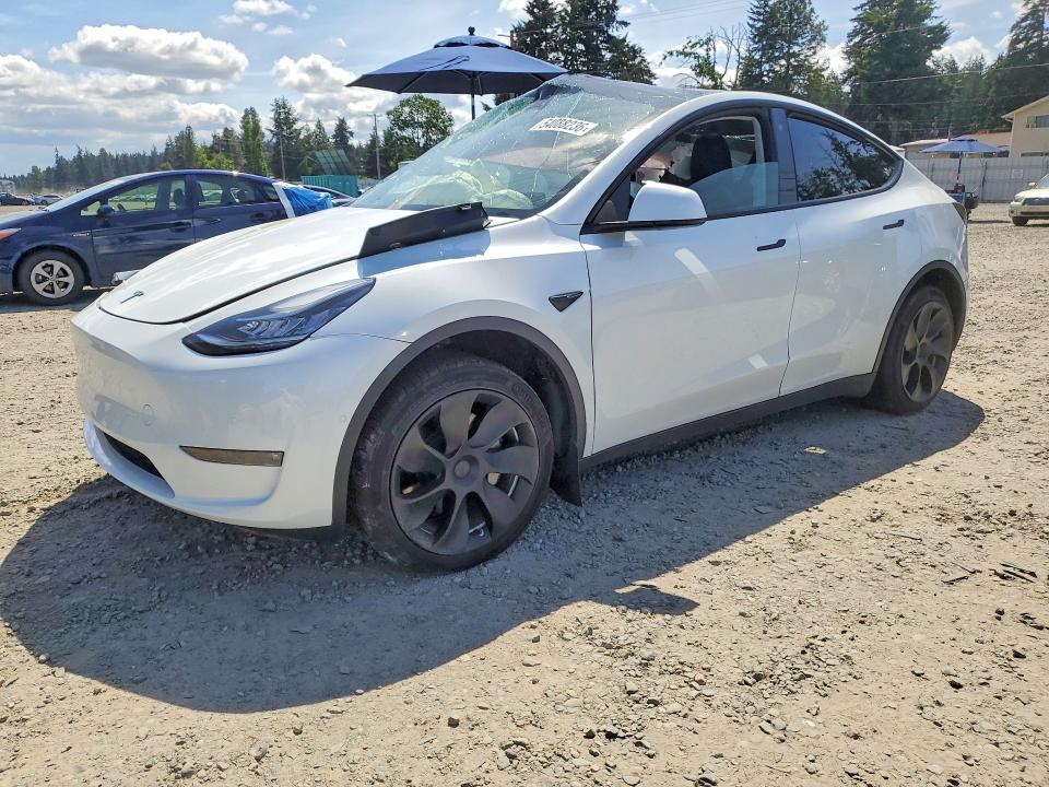 Aukcja sprzedaży 2023 Tesla Model Y, vin: 7SAYGDEE5PF587028, numer aukcji: 54088236
