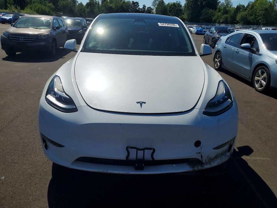 Aukcja sprzedaży 2023 Tesla Model Y, vin: 7SAYGDEE2PA109159, numer aukcji: 54798266