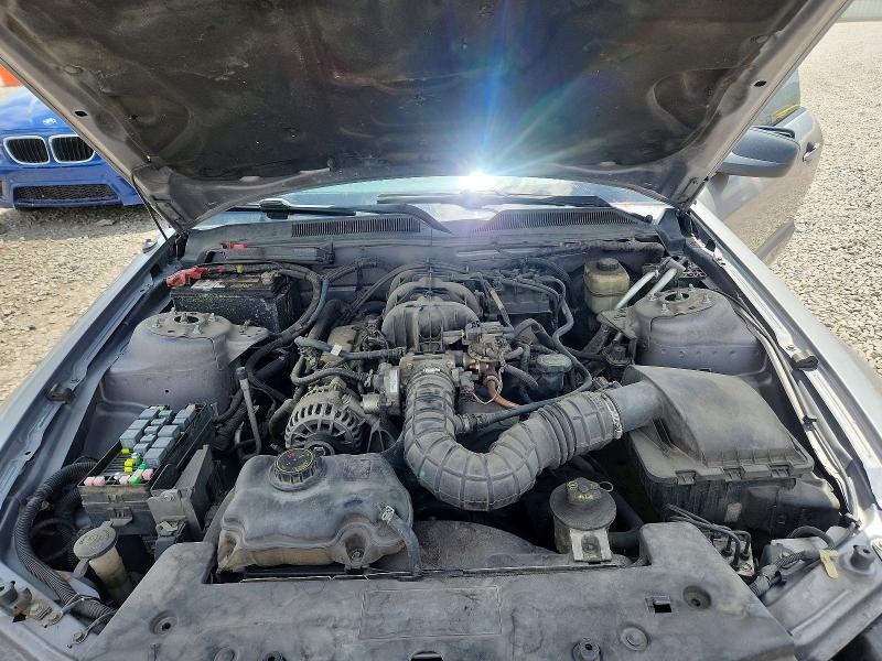 54917556 :رقم المزاد ، 1ZVFT80NX65177059 vin ، 2006 Ford Mustang مزاد بيع