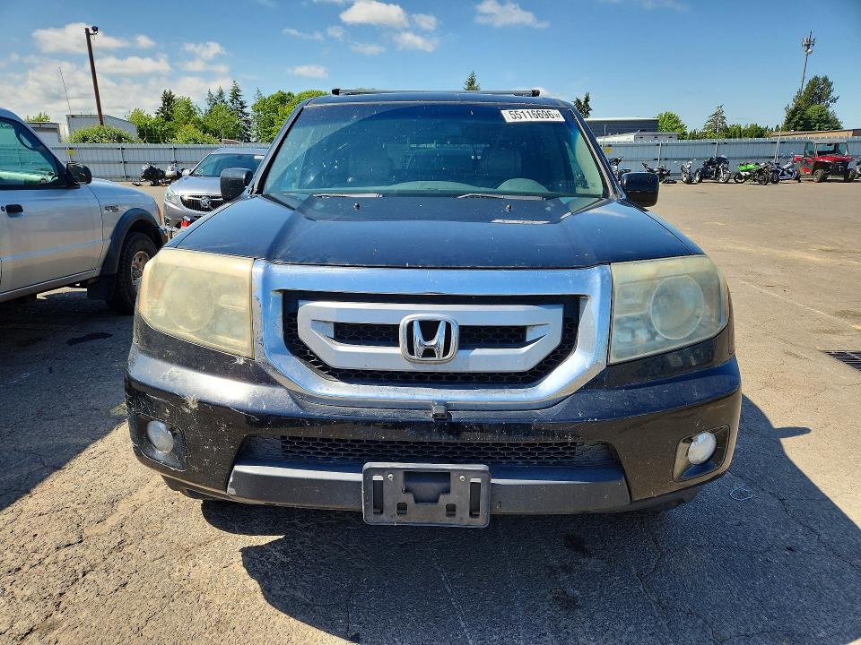 Продаж на аукціоні авто 2009 Honda Pilot, vin: 5FNYF38519B020906, номер лоту: 55116696