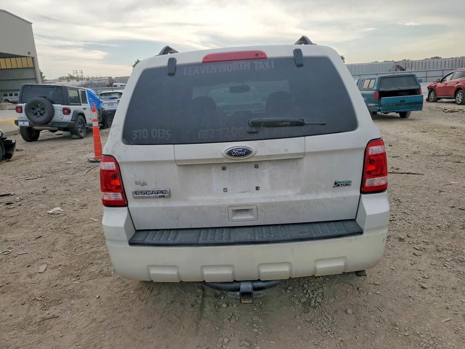 53613706 :رقم المزاد ، 1FMCU0DG8AKA15159 vin ، 2010 Ford Escape مزاد بيع