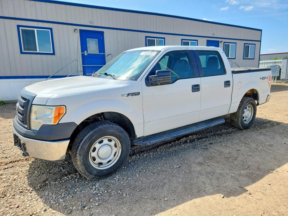 52716846 :رقم المزاد ، 1FTFW1EF8BFD31209 vin ، 2011 Ford F150 مزاد بيع