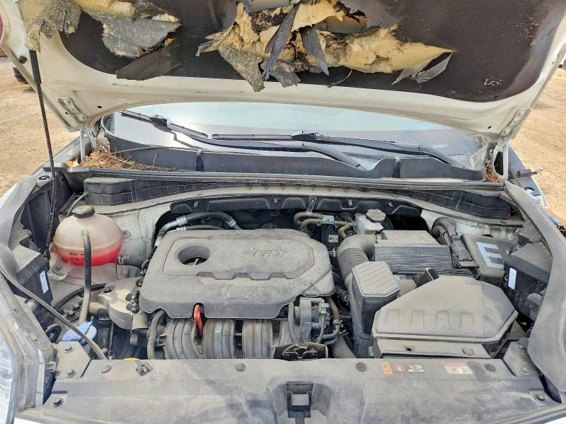 2022 Kia Sportage მანქანა იყიდება აუქციონზე, vin: KNDP6CAC7N7022275, აუქციონის ნომერი: 54229986