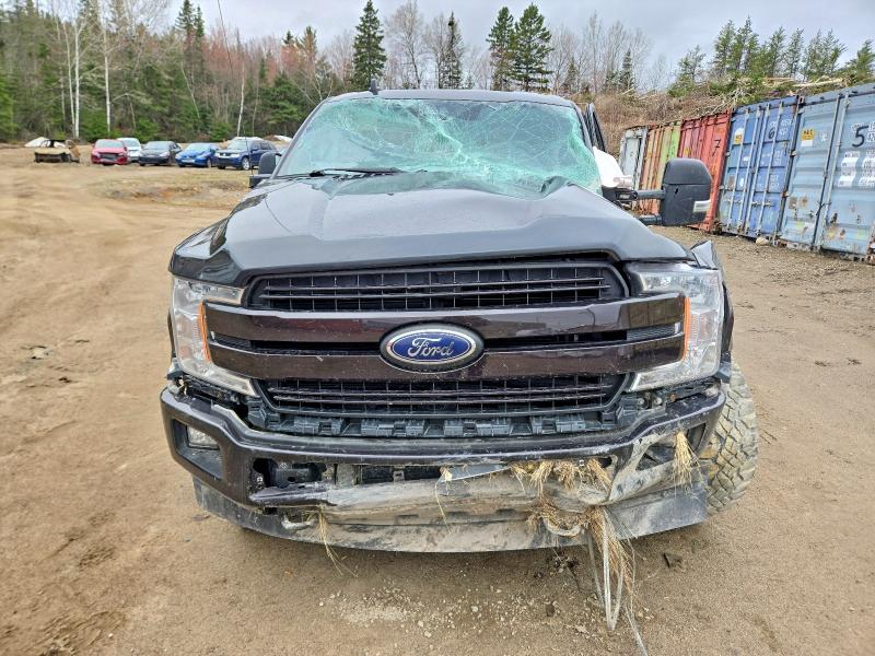 51432486 :رقم المزاد ، 1FTFW1E41KFA46432 vin ، 2019 Ford F150 مزاد بيع