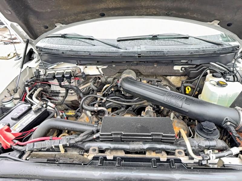 Продаж на аукціоні авто 2010 Ford F150, vin: 1FTFW1EV8AFA92511, номер лоту: 54462156