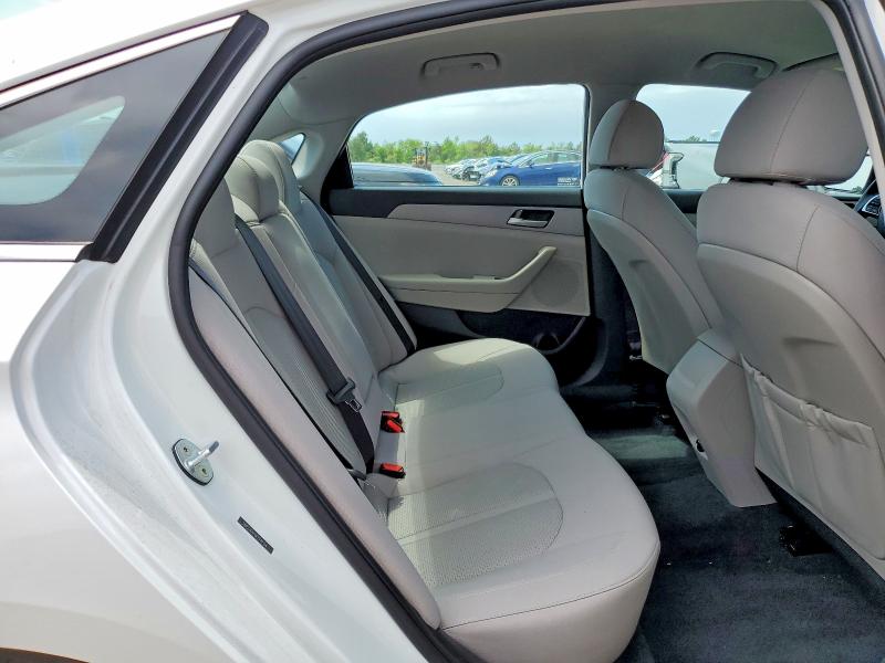 53302286 :رقم المزاد ، 5NPE24AF8KH782354 vin ، 2019 Hyundai Sonata مزاد بيع