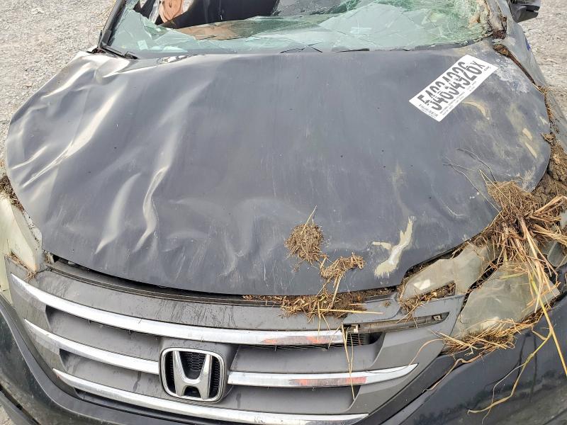 Продажа на аукционе авто 2014 Honda Cr-v, vin: 5J6RM3H30EL019949, номер лота: 54834926