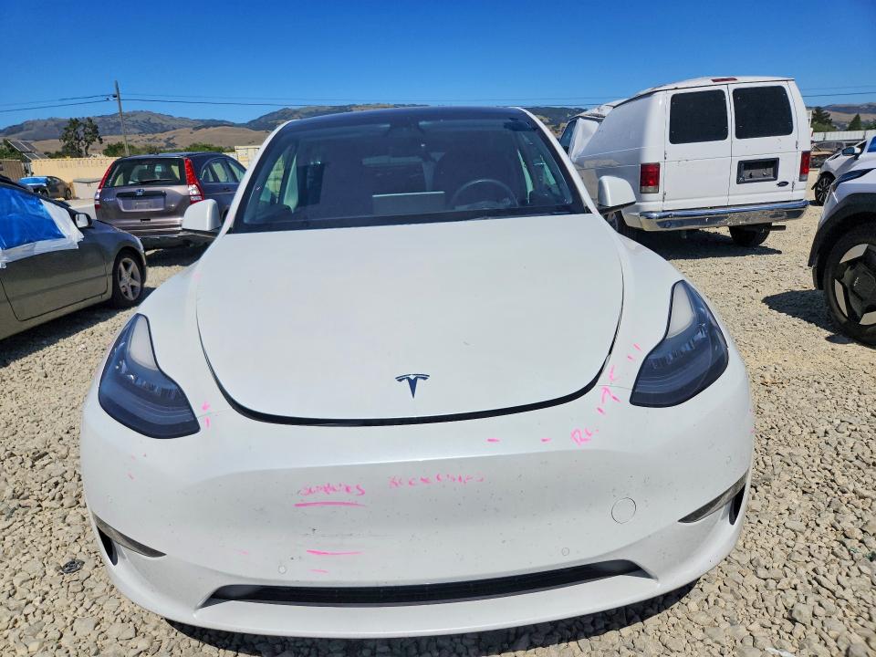 2021 Tesla Model Y მანქანა იყიდება აუქციონზე, vin: 5YJYGDEE8MF181009, აუქციონის ნომერი: 53653566