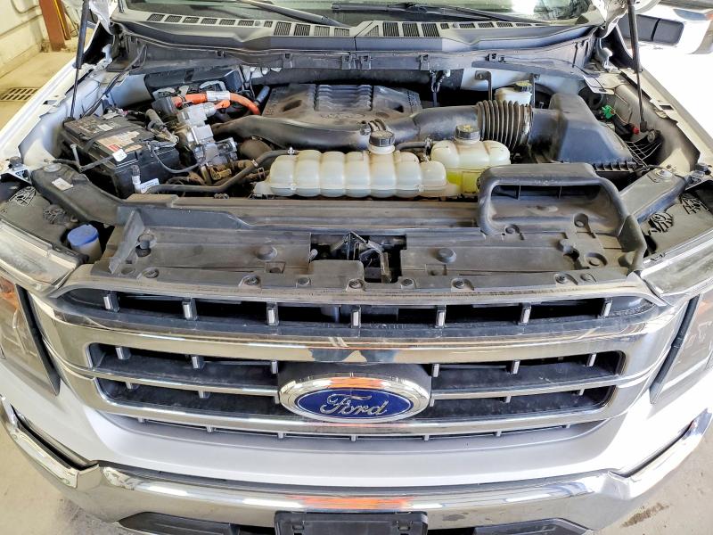 Aukcja sprzedaży 2021 Ford F150, vin: 1FTFW1ED9MFC06852, numer aukcji: 54543026