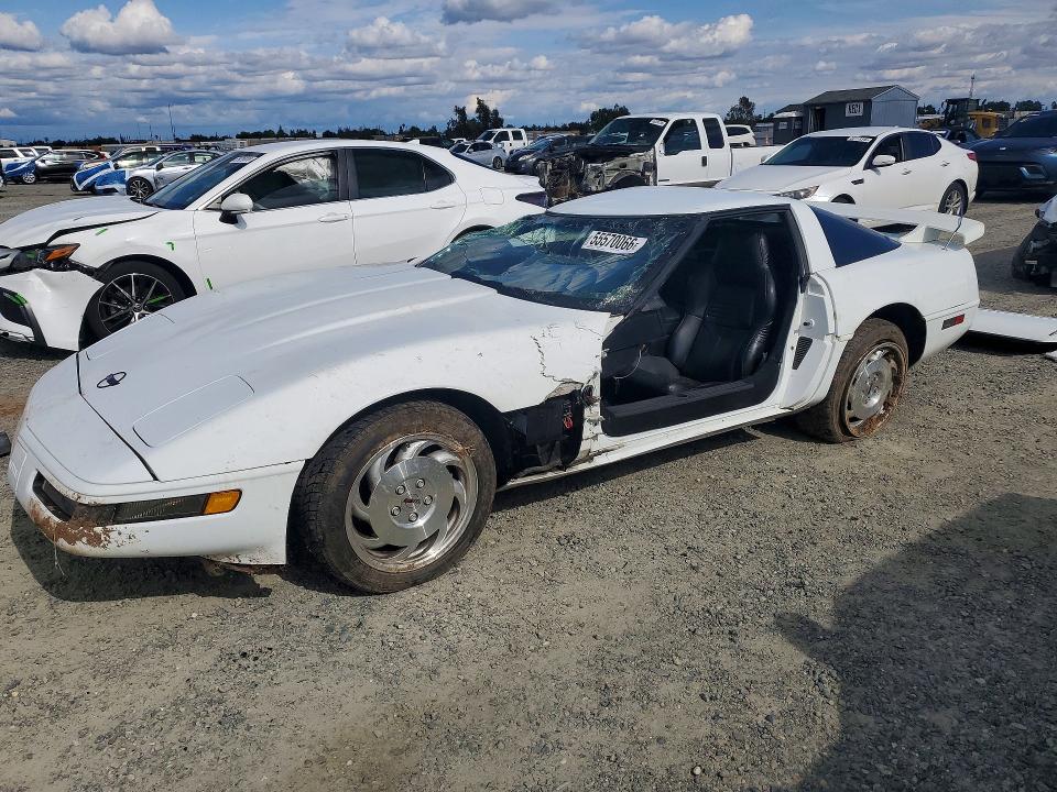 Auction sale of the 1995 Chevrolet Corvette, vin: 1G1YY22P7S5110933, lot number: 55570066