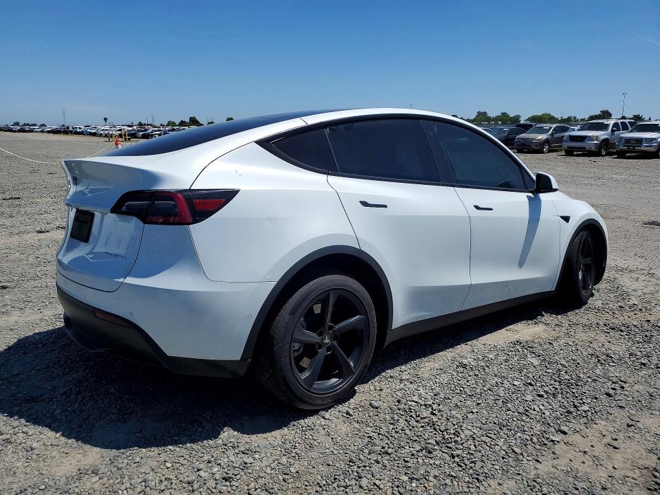 51909806 :رقم المزاد ، 5YJYGAEE2MF305757 vin ، 2021 Tesla Model Y مزاد بيع