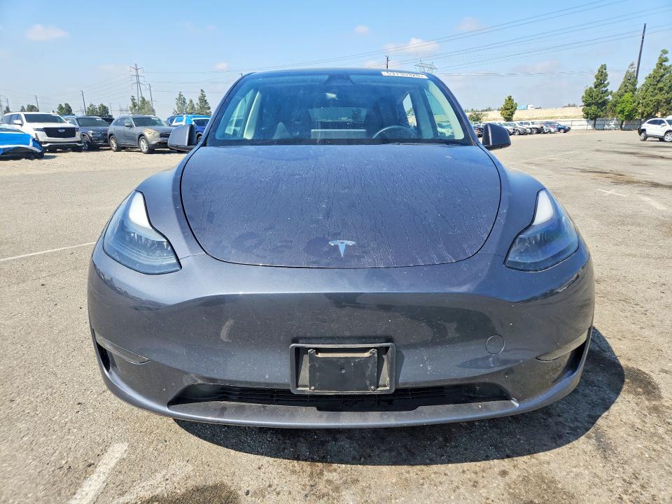 Продаж на аукціоні авто 2023 Tesla Model Y, vin: 7SAYGAEE7PF614695, номер лоту: 53135326