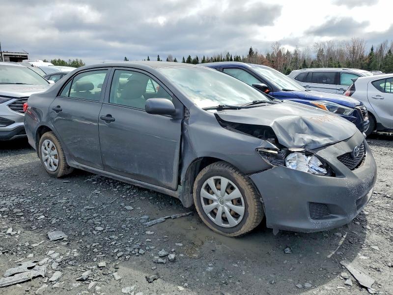 Продаж на аукціоні авто 2009 Toyota Corolla, vin: 2T1BU40E89C024503, номер лоту: 51637746