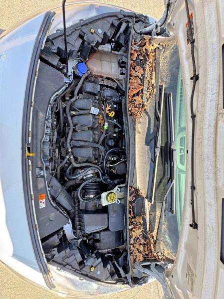 Продажа на аукционе авто 2020 Ford Transit Connect, vin: NM0LS7E24L1472742, номер лота: 54539296