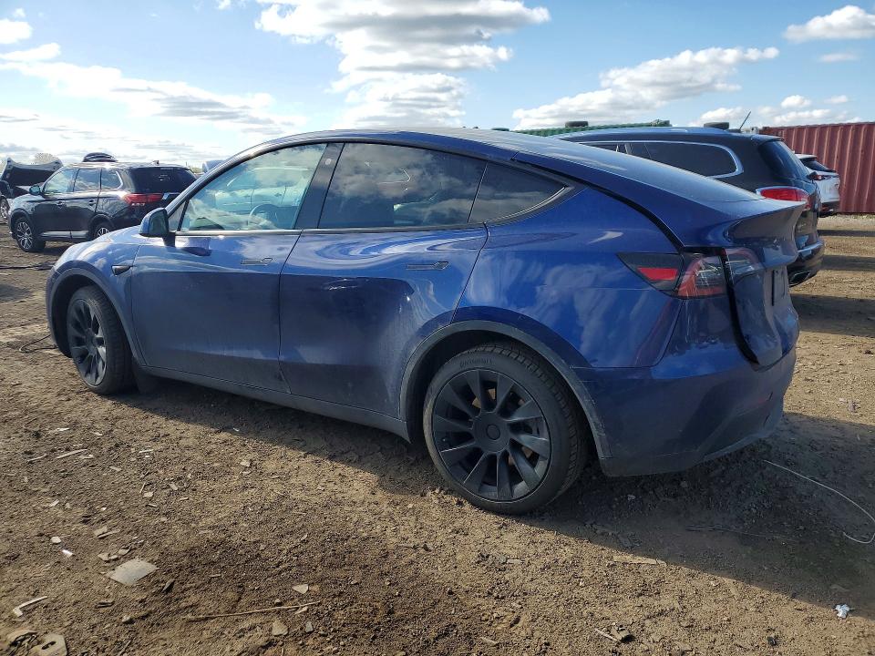Продаж на аукціоні авто 2023 Tesla Model Y, vin: 7SAYGDEE7PF696588, номер лоту: 53167016