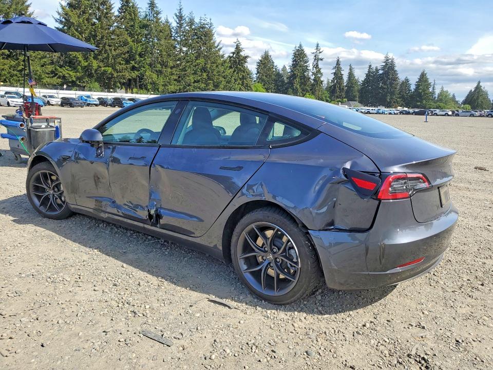 54294846 :رقم المزاد ، 5YJ3E1EA4PF701982 vin ، 2023 Tesla Model 3 مزاد بيع