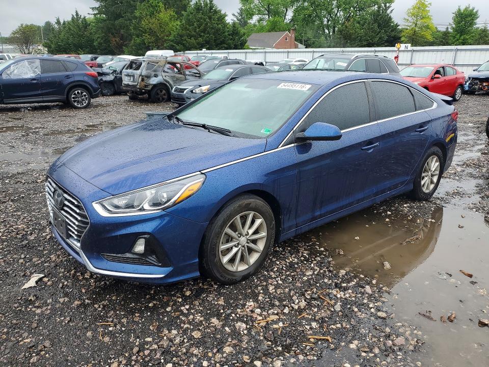 Продаж на аукціоні авто 2019 Hyundai Sonata, vin: 5NPE24AF2KH788568, номер лоту: 54495116