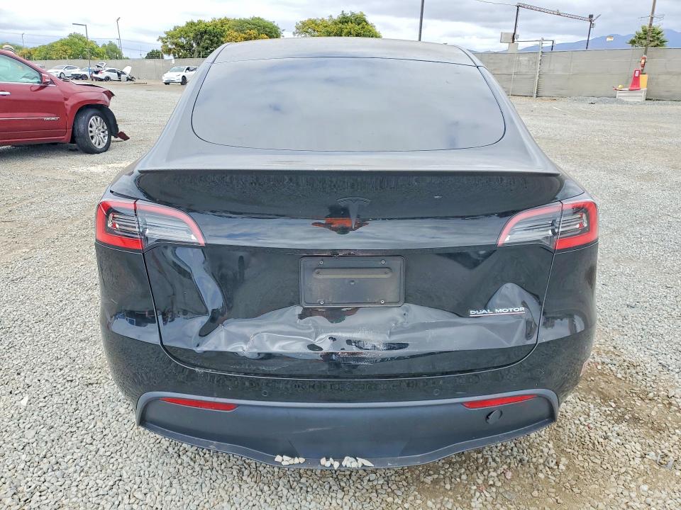 53315446 :رقم المزاد ، 5YJYGDEF8MF137665 vin ، 2021 Tesla Model Y مزاد بيع