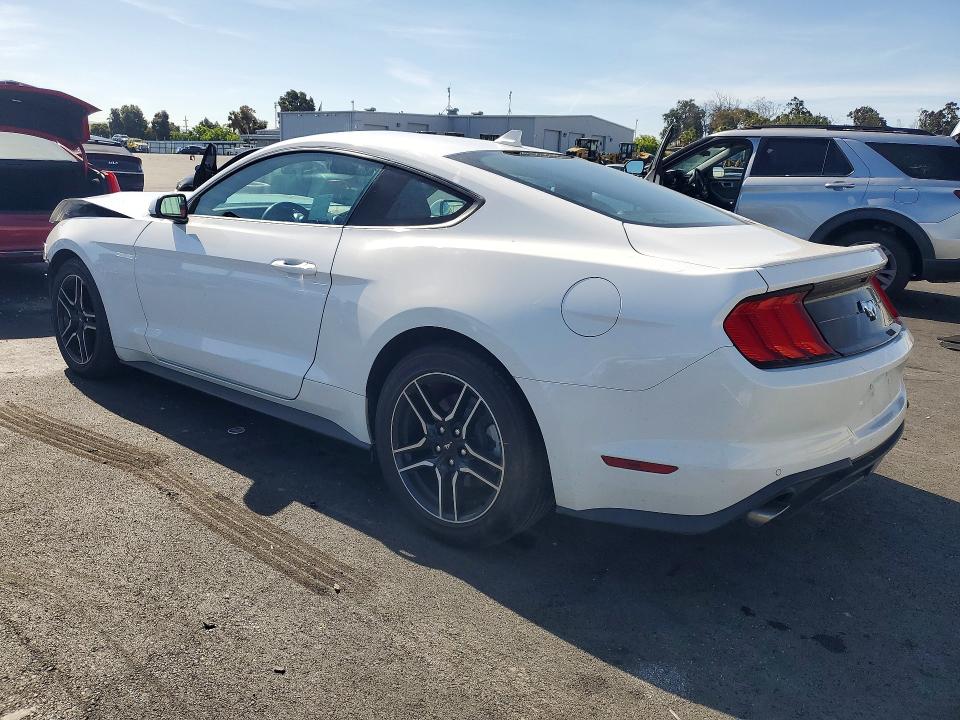 53426376 :رقم المزاد ، 1FA6P8TH7P5103635 vin ، 2023 Ford Mustang مزاد بيع