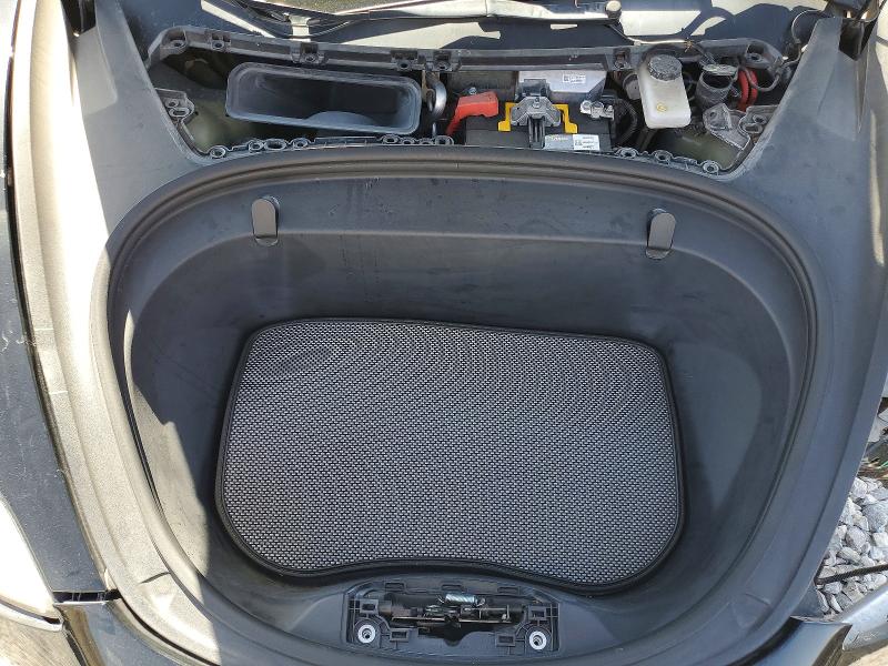55021316 :رقم المزاد ، 5YJ3E1EA5KF323647 vin ، 2019 Tesla Model 3 مزاد بيع