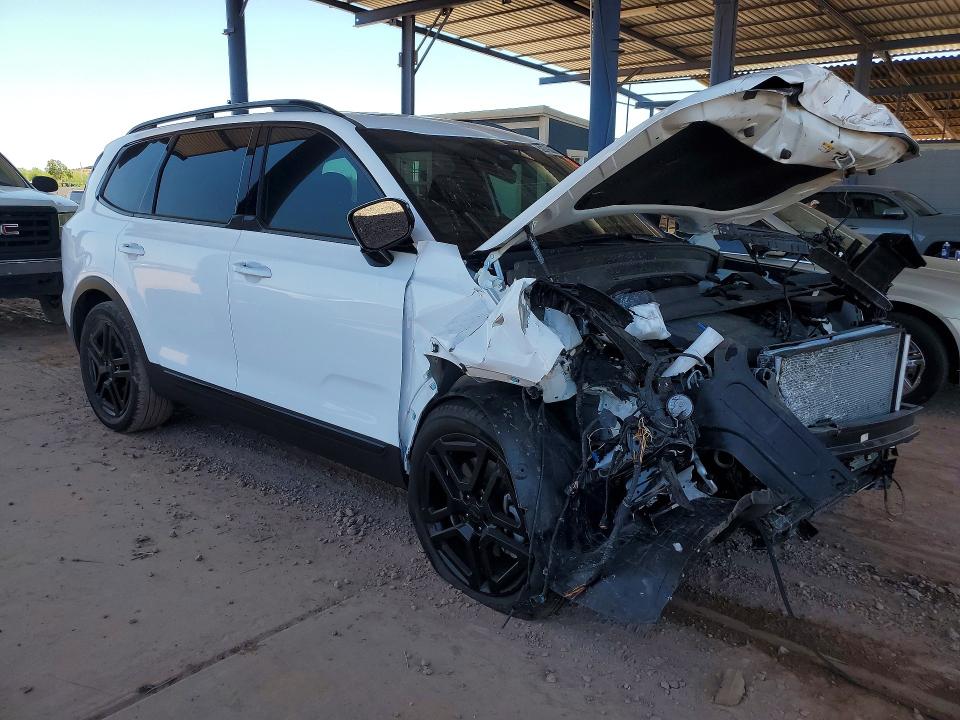 Продаж на аукціоні авто 2025 Kia Telluride, vin: 5XYP5DGC7SG637911, номер лоту: 52079886